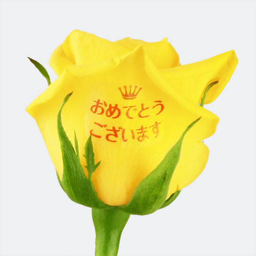 バラの花束「レター・ローズ“Yellow and Orange MIX” ～バラに気持ちを