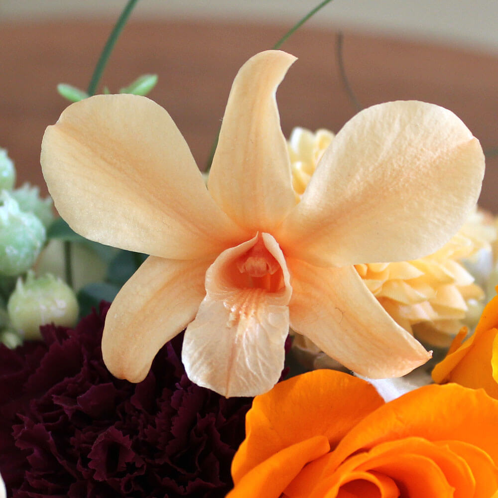 フラワーショップのお姉さん レジェンド アンリミ PSA10 フラワー