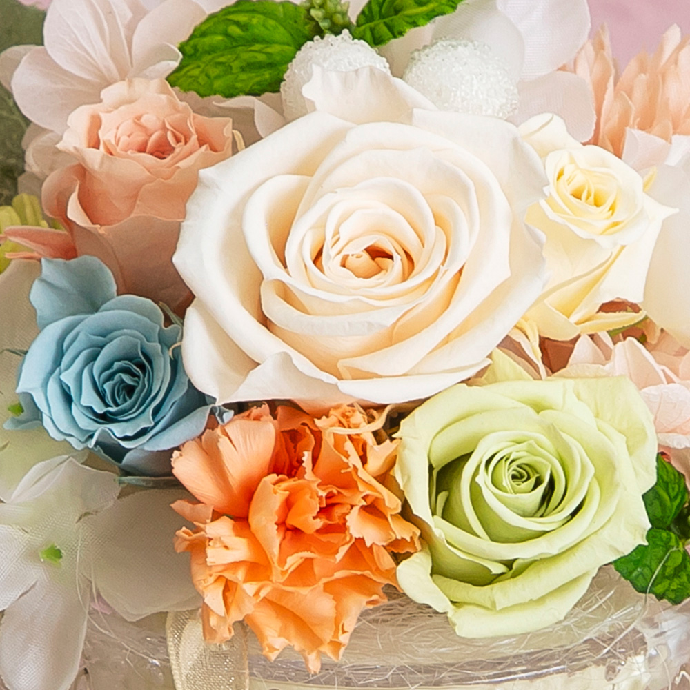 プリザーブドフラワー花材 Belle プリフォトS プリザーブドフラワー｜ベル・フルール / Belles Fleurs