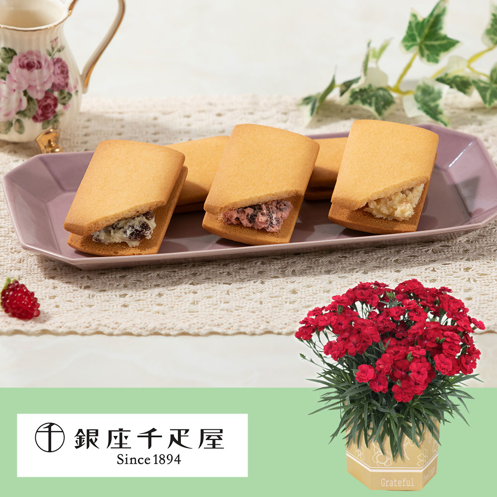 鉢植えセット「銀座千疋屋 銀座フルーツサンド」