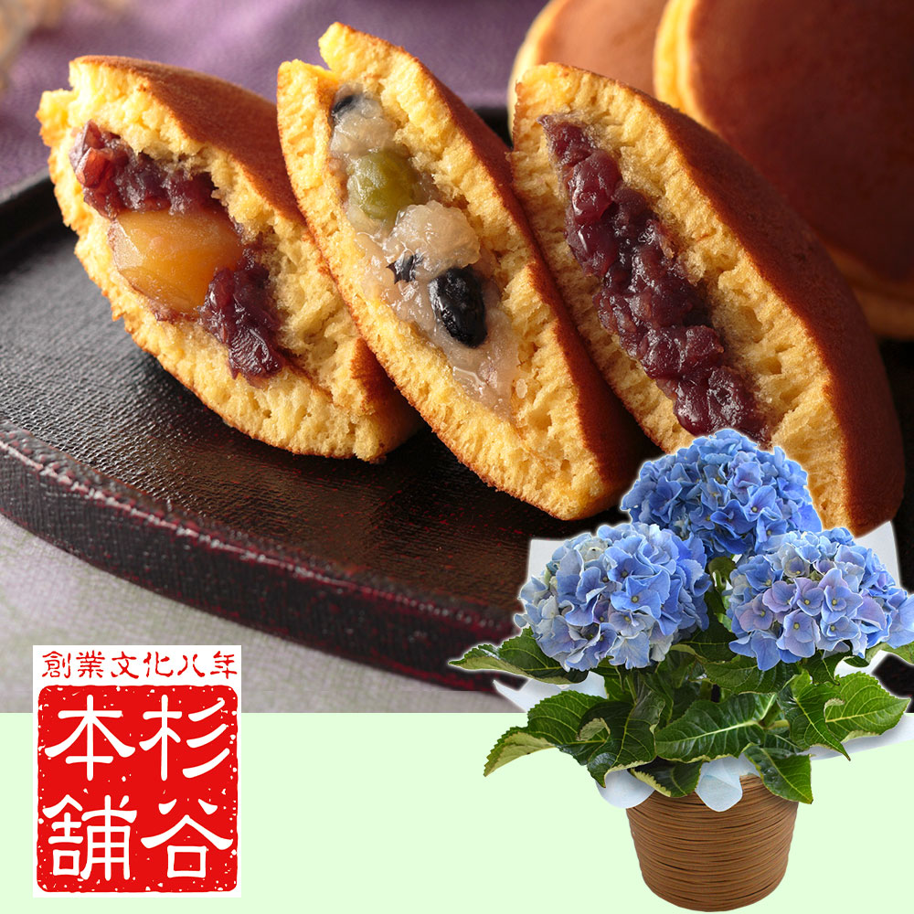 【父の日】どら焼きと鉢植え/花ギフト・プレゼント｜イイハナ・ドットコム（花ギフトの専門店）｜父の日 アジサイ鉢植えセット「杉谷本舗 どら焼き詰合せ」｜出荷実績300万件以上、13時までのご注文は最短翌日お届け(一部商品は除きます）。インターネットで24時間受付中。千趣会（ベルメゾン）のお花屋さん e87.com