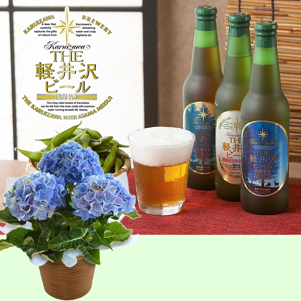 【父の日】軽井沢ビールと鉢植え/花ギフト・プレゼント｜イイハナ・ドットコム（花ギフトの専門店）｜父の日 アジサイ鉢植えセット「THE軽井沢ビール 飲み比べ」｜出荷実績300万件以上、13時までのご注文は最短翌日お届け(一部商品は除きます）。インターネットで24時間受付中。千趣会（ベルメゾン）のお花屋さん e87.com