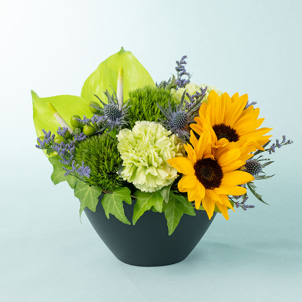 父の日 アレンジメント「サンリーフ・フォレスト」