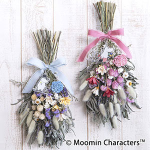 ̓̓@MOOMIN/XbOu[~}}E[~ppZbgv