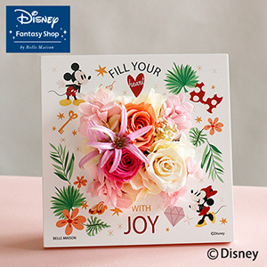 �f�B�Y�j�[/�v���U�[�u�h�t�����[�u�t���[���i�~�b�L�[���~�j�[�j�v