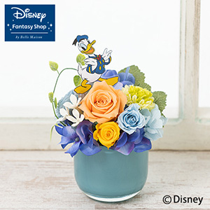 �f�B�Y�j�[/�v���U�[�u�h�t�����[�u�Z���u���[�V�����E�t�����[�i�h�i���h�_�b�N�j�v