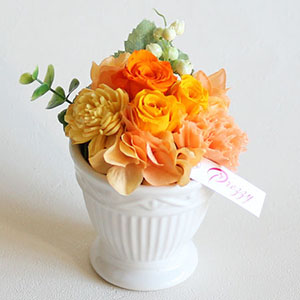 �v���U�[�u�h�t�����[�u�R�����`�I�����W�`�v