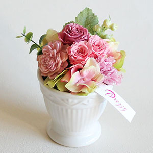 �v���U�[�u�h�t�����[�u�R�����`�s���N�`�v