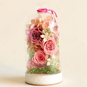 �v���U�[�u�h�t�����[�u�y�^�����F�[���`�s���N�`�