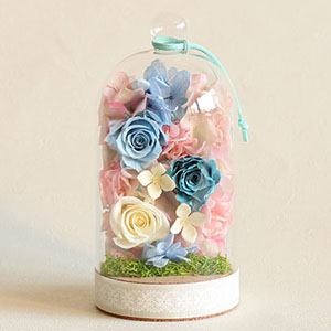 �v���U�[�u�h�t�����[�u�y�^�����F�[���@�~�b�N�X�