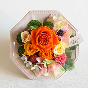 �v���U�[�u�h�t�����[�u�[�t�B�[���`�I�����W�`�