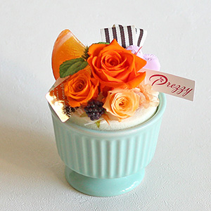 �v���U�[�u�h�t�����[�u�f�Z�[���`�I�����W�`�