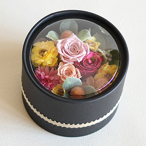 �v���U�[�u�h�t�����[�u�h�[��BOX���`�~�j�o���`�