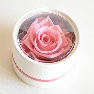 �v���U�[�u�h�t�����[�u�h�[��BOX���`�o�������A�`�