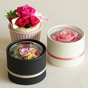 �v���U�[�u�h�t�����[3�_�A�\�[�g