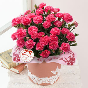 母の日に贈るバラの鉢植え 母の日プレゼント ギフト特集21 イイハナ