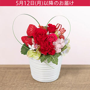 ̓@vU[uht[uTNXn[gv
