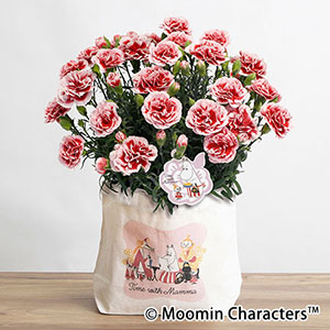 ̓@MOOMIN/AuobNinJ[l[V`Time With Mamma`v