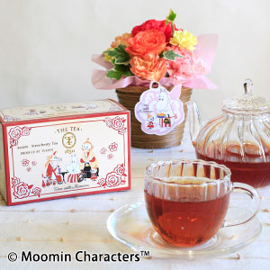 ̓@MOOMIN/AWZbgu}}̉ԍeB[^Cv
