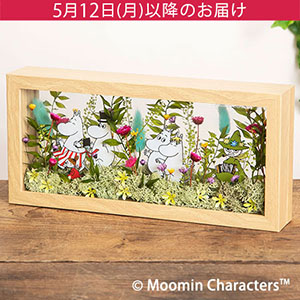 ̓@MOOMIN/vU[uht[u[~Jؘ̖Rt[v