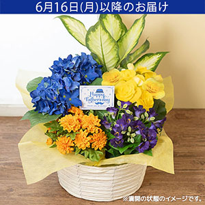 父の日　寄せ鉢「Father’s　バスケット」