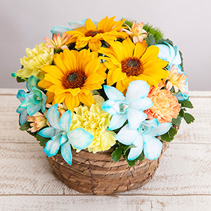 ̓@AWguHave a sunny day!v