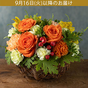 hV̓@AWgu炬̉ԕւv