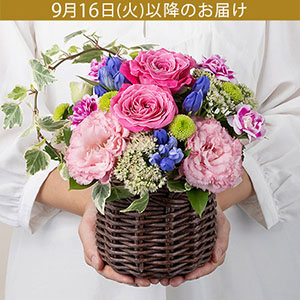 hV̓@AWguENISHI`SȂz`v