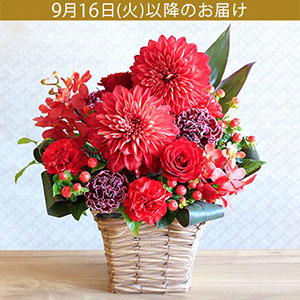 hV̓@AWguanniversary flower`r[`v