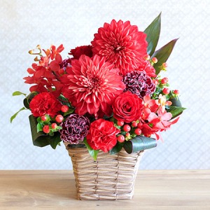 hV̓@AWguanniversary flower`r[`v