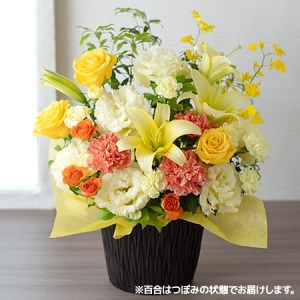 hV̓@AWguanniversary flower`gp[Y`v