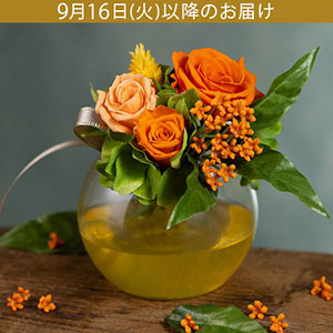 hV̓@vU[uht[ũu[P`؍҂̍`v