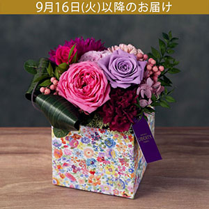 hV̓@vU[uht[ut[{bNX`Royal Purple`v
