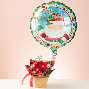 アレンジメント「サンタバルーンのサプライズ」
