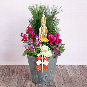 お正月 寄せ植え「スタイリッシュ門松」