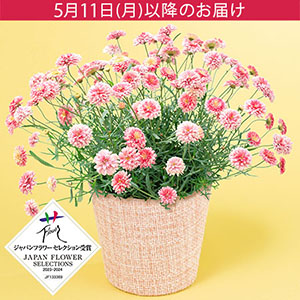 ��̓��@���A���u�|���|���炫�}�[�K���b�g�@���s������v