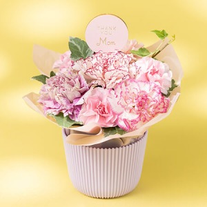 母の日 アレンジメント「マザーズ・ピンク」