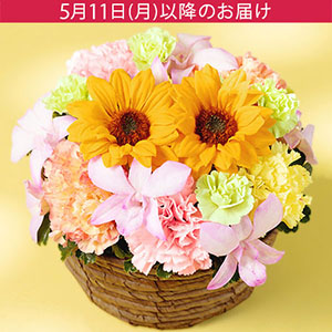��̓��@�A�����W�����g�u�X�}�C���[�E�T���V���C���v