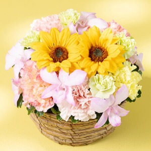 ��̓��@�A�����W�����g�u�X�}�C���[�E�T���V���C���v