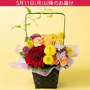 ��̓��@�A�����W�����g�u�a�ԁ`���ނ��`�v