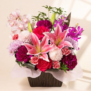 ��̓��@�A�����W�����g�u���ā`�ؗ�ȑ��蕨�`�v