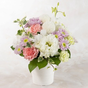 �A�����W�����g�u�F�蓔�`���̂�с`(�W��)�v