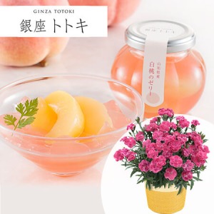 ��̓��@���A���Z�b�g�u����g�g�L�ďC�@�R�`���Y�����̃[���[�v