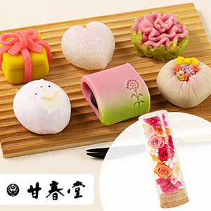 ��̓��@�v���U�[�u�h�Z�b�g�u�Ït���@�㐶�َq�l�����v