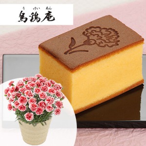 ��̓��@���A���Z�b�g�u�G�{���@�G���{�����Ă���v