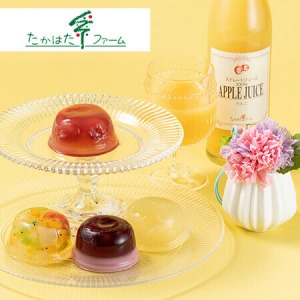 ��̓��@�v���U�[�u�h�Z�b�g�u�����͂��t�@�[���@�W���[�X�E�t���[�c�[���[�l�����v