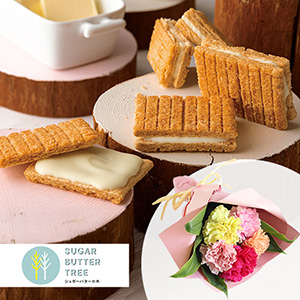 ��̓��@�ԑ��Z�b�g�u�V���K�[�o�^�[�̖؁@�V���K�[�o�^�[�T���h�̖؁v