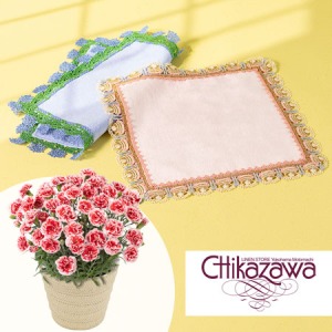 母の日 鉢植えセット「近沢レース店タオルハンカチ」