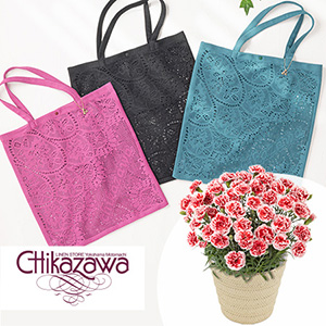 母の日 鉢植えセット「近沢レース店レーストート」