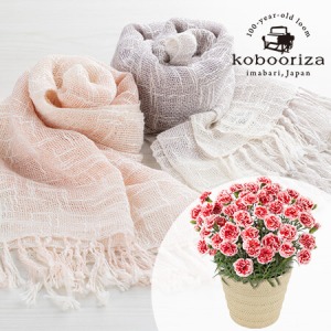 母の日 鉢植えセット「工房織座 カーネーションとパンジーストール」